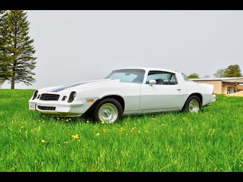1979 Chevrolet Camaro (CC-1727553) for sale in Watertown, Minnesota