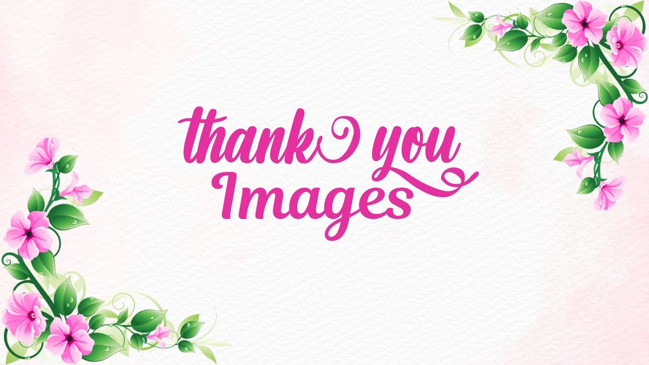 Thank You Images |  Elegant Thank You Images for Every Occasion | Free Images with Download Link