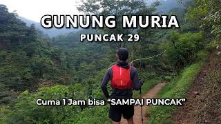 Download lagu Ide Tektok Akhir Pekan: Taklukkan Puncak Tertinggi Kudus (Puncak 29 via Rahtawu) Full Vlog 30 Menit mp3