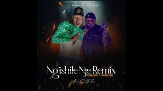 Download lagu Ngishile Nje (feat. Thokozani Langa) mp3