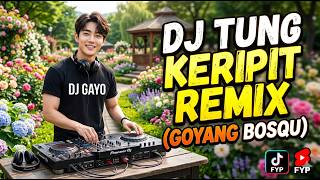Download lagu Dj Tung Keripit - Rhoma Irama - REMIX Dj Gayo mp3