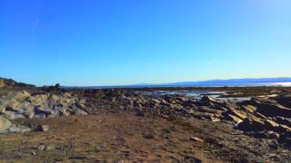 Comme des enfants en cavale - Alexandre Poulin | Rosemane cover