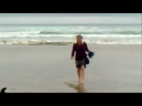 Beach days...Alfie dog