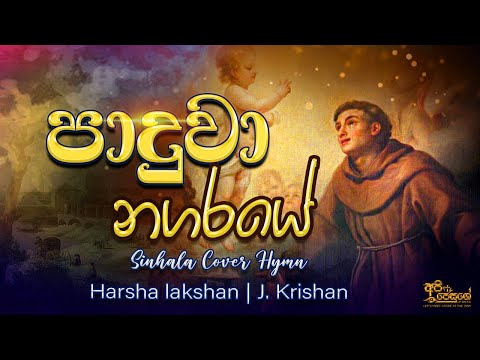 පාදුවා නගරයේ | Paduwa Nagaraye | Live Cover Hymn | Api Jesuge