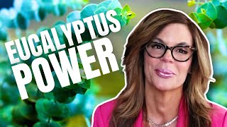 How to Use Eucalyptus Oil for Sinus Relief & Immunity Boost!