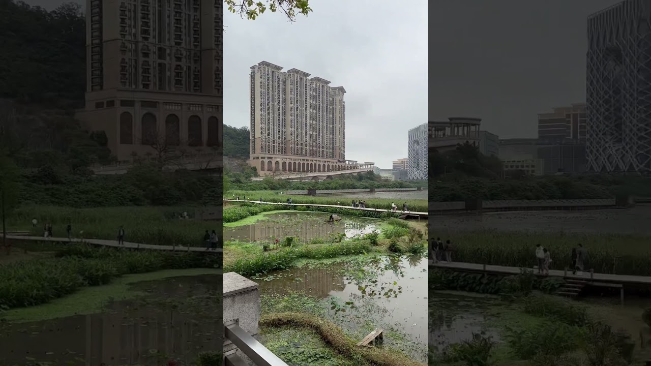 YouTube Short thumbnail