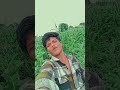 Desi Makino Desi Dodd