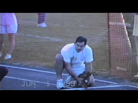 Dachshund cheats in dog race to win!