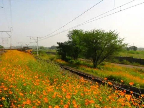 2127 Intercity Superfast whizzles thru WildFlower Alley !