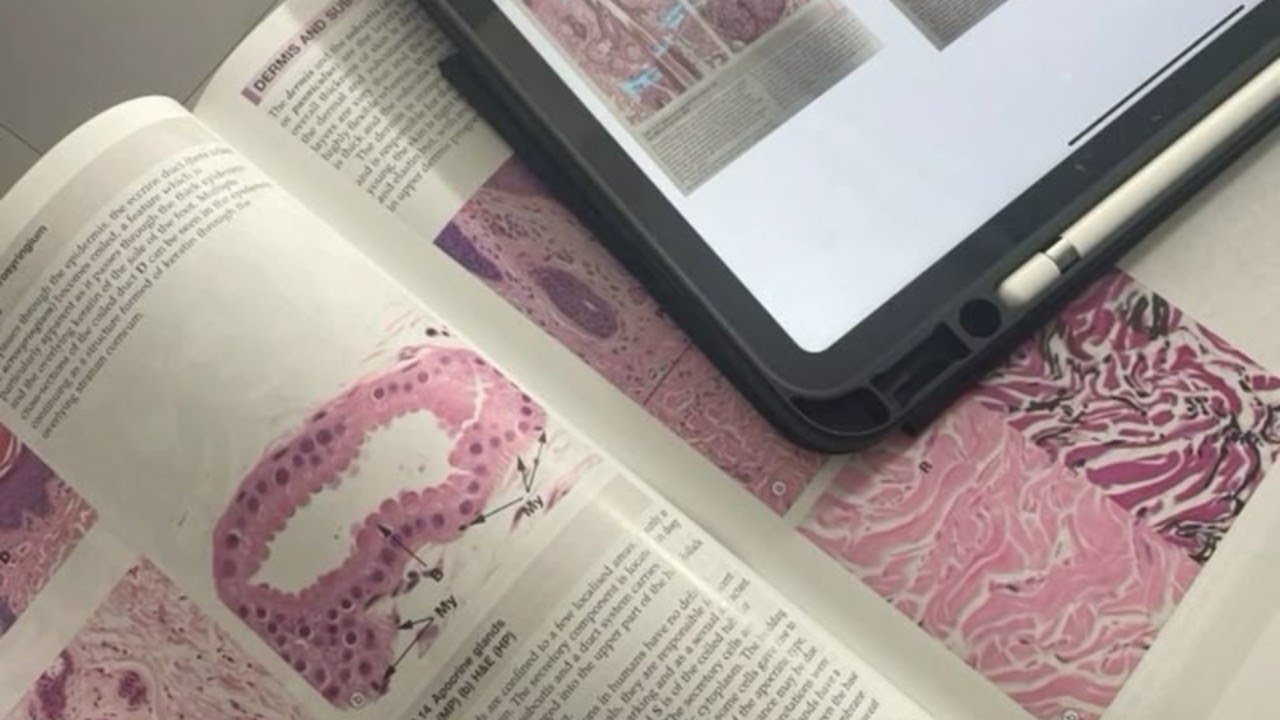 🧠 100% in biology.