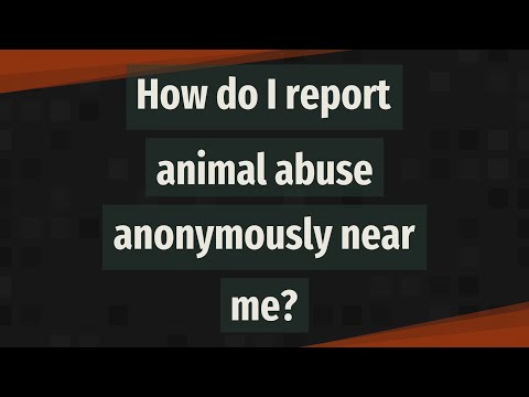How do I report animal abuse anonymously near me?