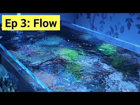 Reef Tank Basics Episode 3: Flow In a Saltwater Aquarium