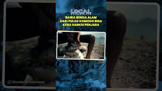 Terbukti Bawa Benda Alam dari Pulau Komodo Siap siap Dapat Sanksi Denda dan Penjara