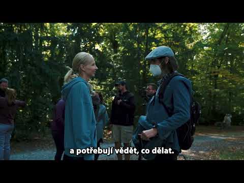 Pomozte nám vrátit desetitisíce lidí zpět do běžného života