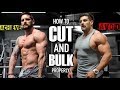 CUTTING & BULKING The Right Way | Avoid The BIG Mistakes (Lex Fitness)
