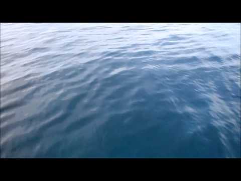 Tropicurl SUP Crew 2011-2013