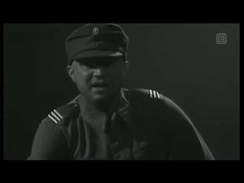 Nainen toiselta planeetalta - Leevi and the Leavings
