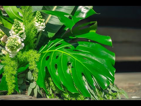 Evanthia I Adventurous Antwerp The Power of Green Foliage for your floral designs