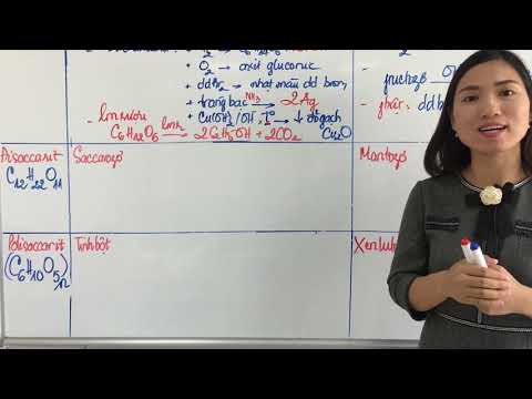 12.2.1 Lý Thuyết Cacbohidrat - Hóa Học 12