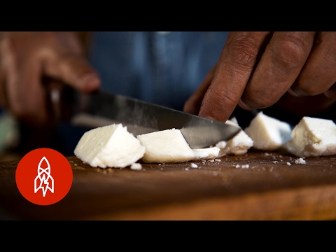 download lagu mp3 mp4 Donkey Milk, download lagu Donkey Milk gratis, unduh video klip Donkey Milk