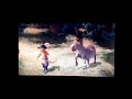 Shrek The Third 2007 Aftermath Of Switch Voice And Back To Far Far Away 15th Anniversary Special