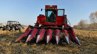 Megkezdődött a betakarítás!