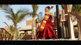 Vesislava - Acoustic Cellist - Romantic " Perfect"