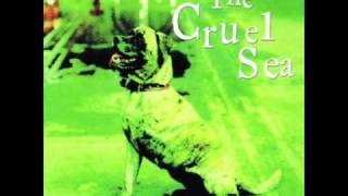 BETTER GET A LAWYER- THE CRUEL SEA