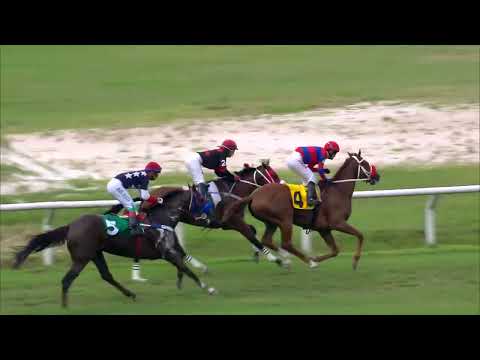 221211 c08 Handicap Potri Flash/ HAPPY ENDING (BRZ)