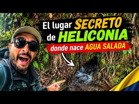     🇨🇴 El misterioso manantial de AGUA SALADA en HELICONIA 🧂💦