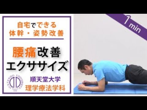 医学科 【腰痛軽減】理学療法士が教える 1分間の腰痛改善エクササイズ（フロントブリッジ、体幹トレーニング）（腰痛の方向け）