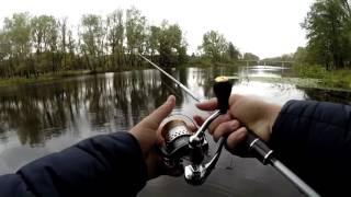 Graphiteleader finezza gofs-732ul-t