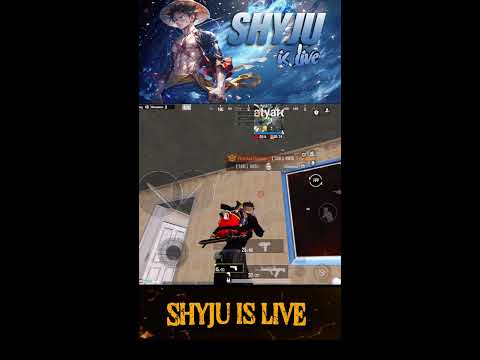 Choco Bro's Live Stream