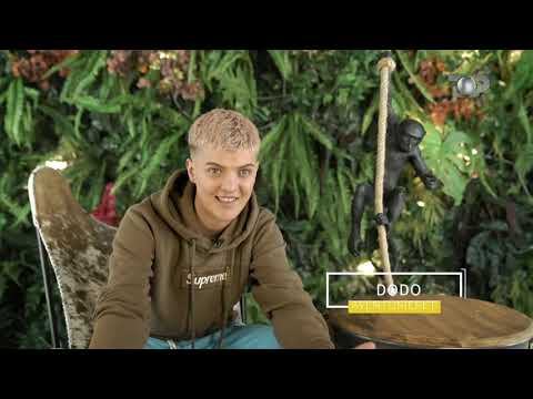 Aventurieret - “Dodo dhe Vali ndeshen në ring”, 15 Janar 2021