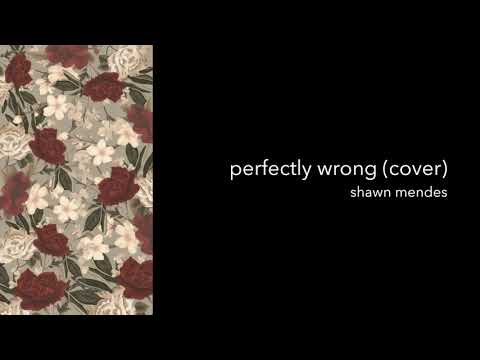 Perfectly Wrong | Shawn Mendes (Cover)
