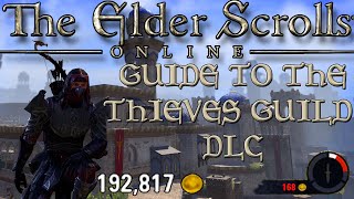 Guide to the Thieves Guild DLC in ESO (Elder Scrolls Online tips for PC, Xbox One, and PS4)