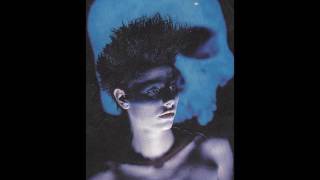 Rosetta Stone - Friends and Executioners