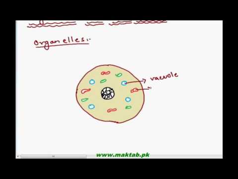 FSc Biology Book1, CH 1, LEC 4: Levels Of Biological Organization-2