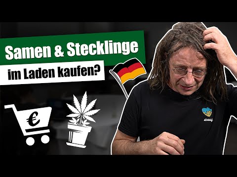 , title : 'Samen & Stecklinge jetzt im Handel? - Fünf Irrtümer des Cannabisgesetzes (CanG)'