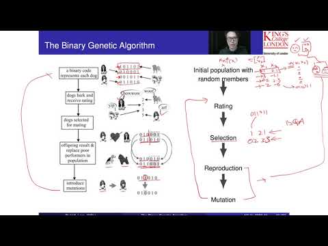Binary Genetic Algorithm Part 2 Working Principle And Codingencoding Processes