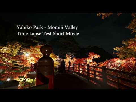 Yahiko Park Momiji Valley Time Lapse Test