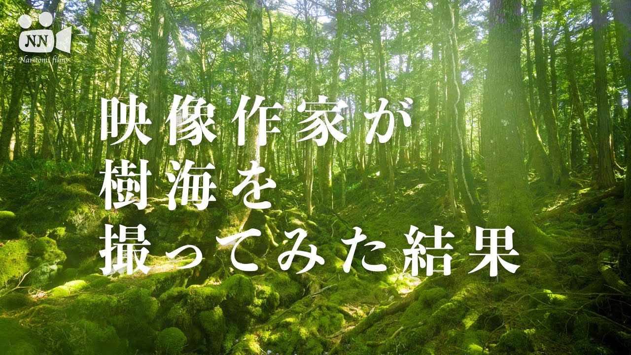 【樹海】映像作家が青木ヶ原の樹海を撮ってみた結果