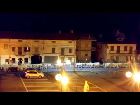 LA TRANSUMANZA RIENTRA DAGLI ALPEGGI : ROBILANTE (CN) 16 - 10 - 2017