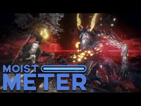 Moist Meter | Nioh 2