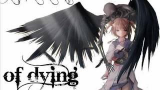 Jack off Jill - Afraid of dying Lyrics