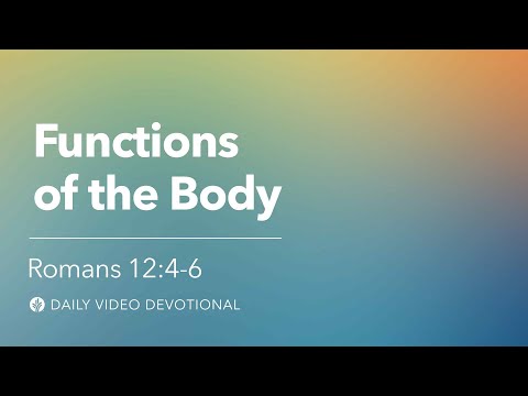 Functions of the Body | Romans 12:4-6 | Our Daily Bread Video Devotional