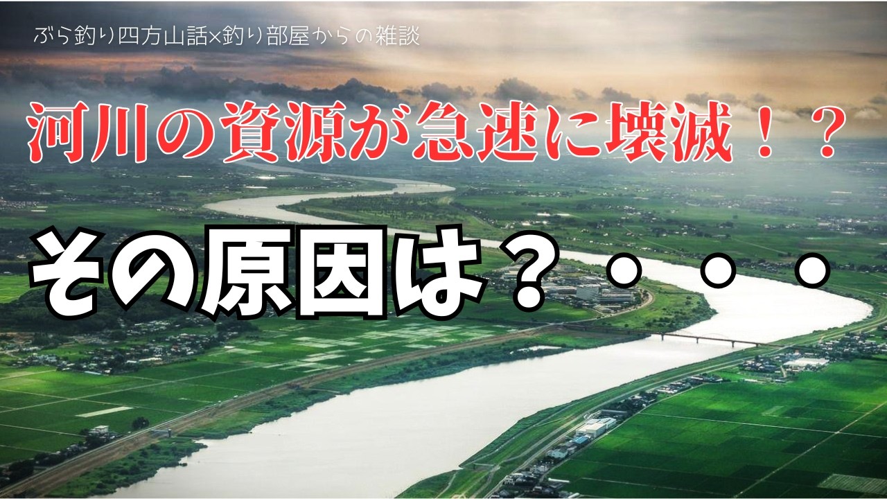河川の資源が急速に壊滅！？その原因は？・・・釣り部屋からの雑談・四方山話３３４