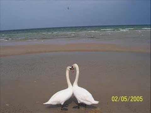 Przychodzimy, odchodzimy