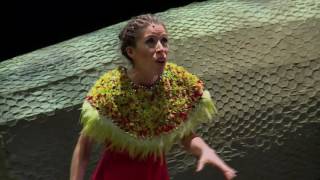 L'Arpeggiata - Christina Pluhar : Orfeo Chaman -  Pajarillo