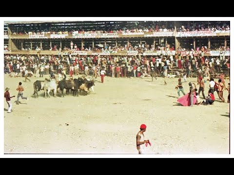 Toro el, "CHIVO MONO", leyenda de las corralejas | Rp, Dios es amor | @relatosdelporvenir.